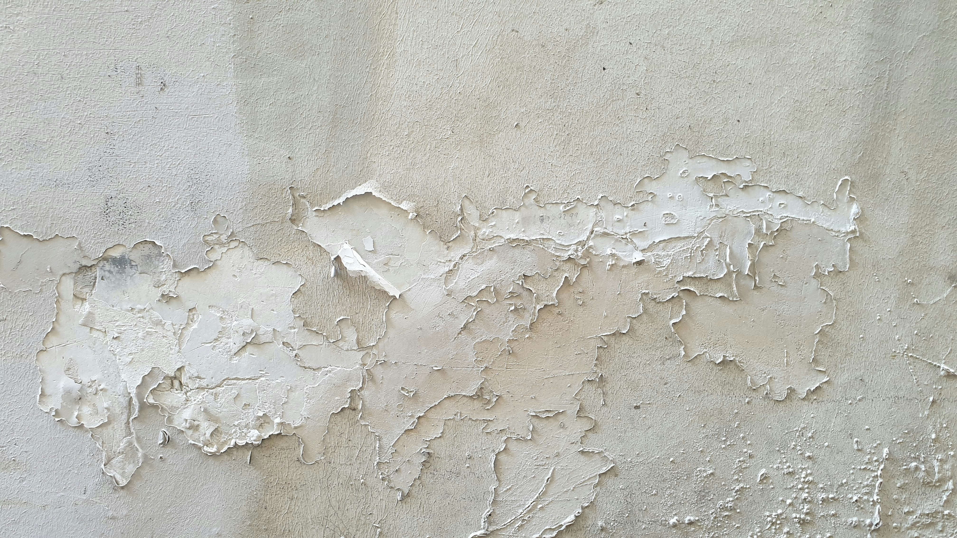 Water Damage Repair