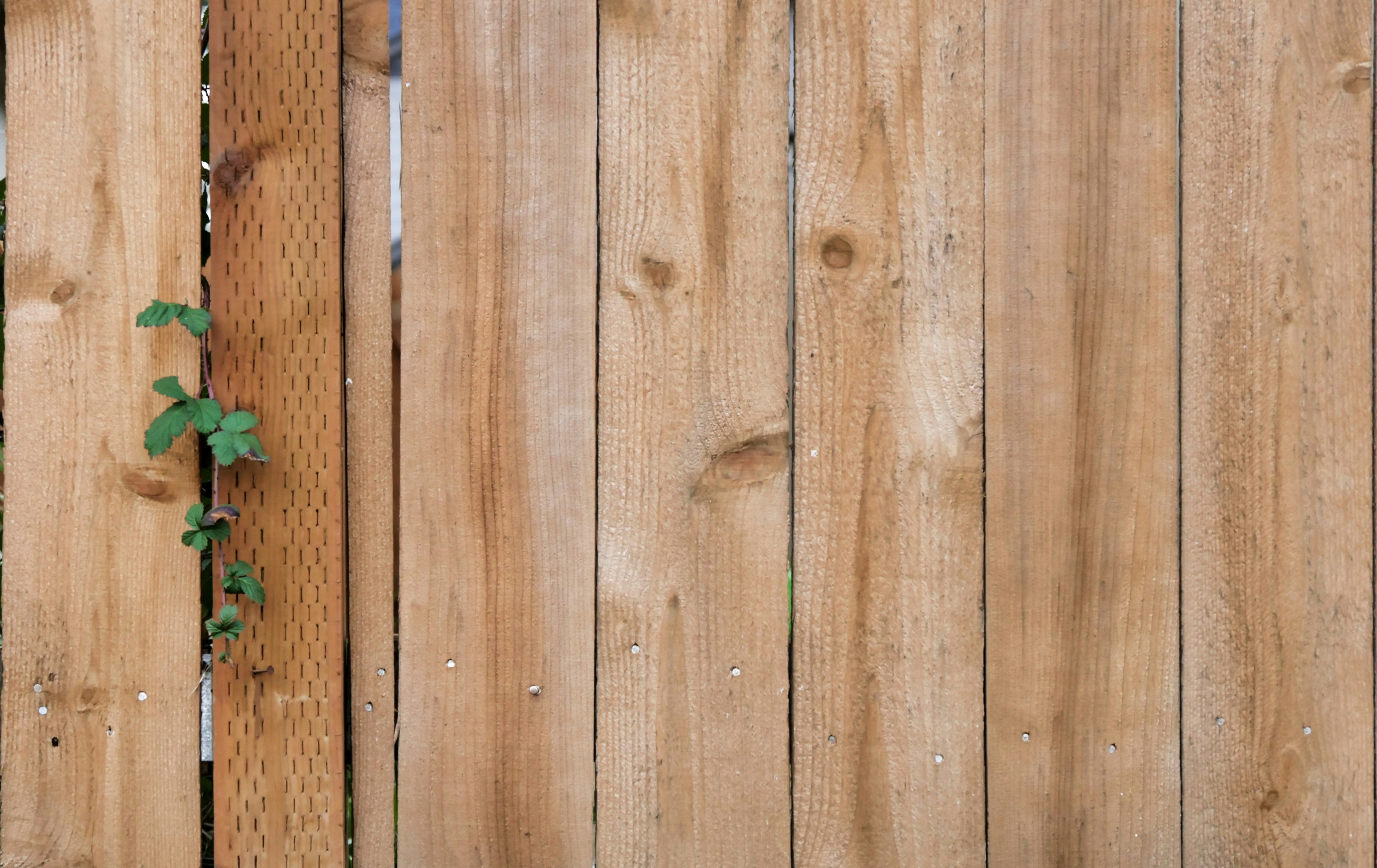 Fence Panel Repair