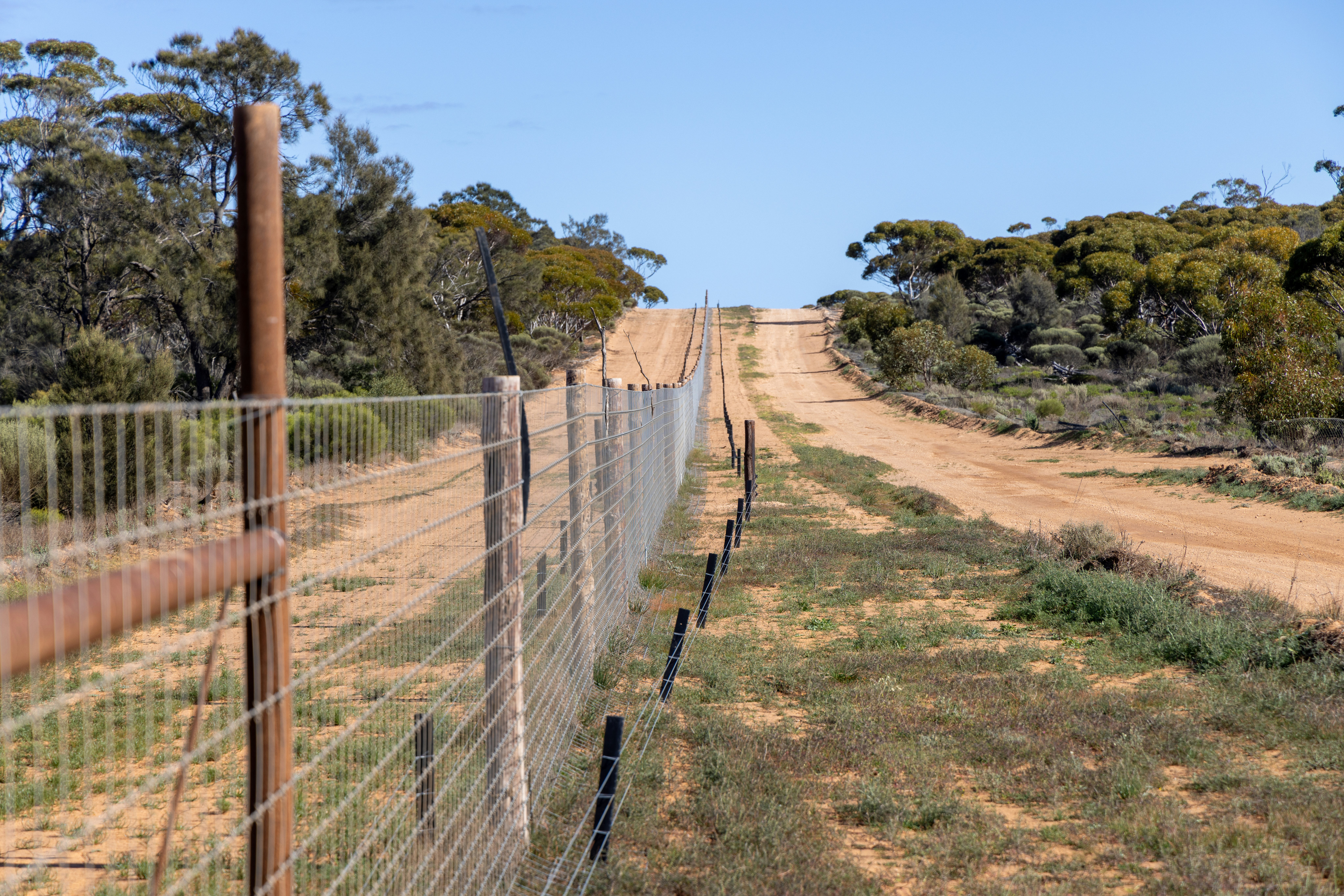 Gate and Alignment Fixes