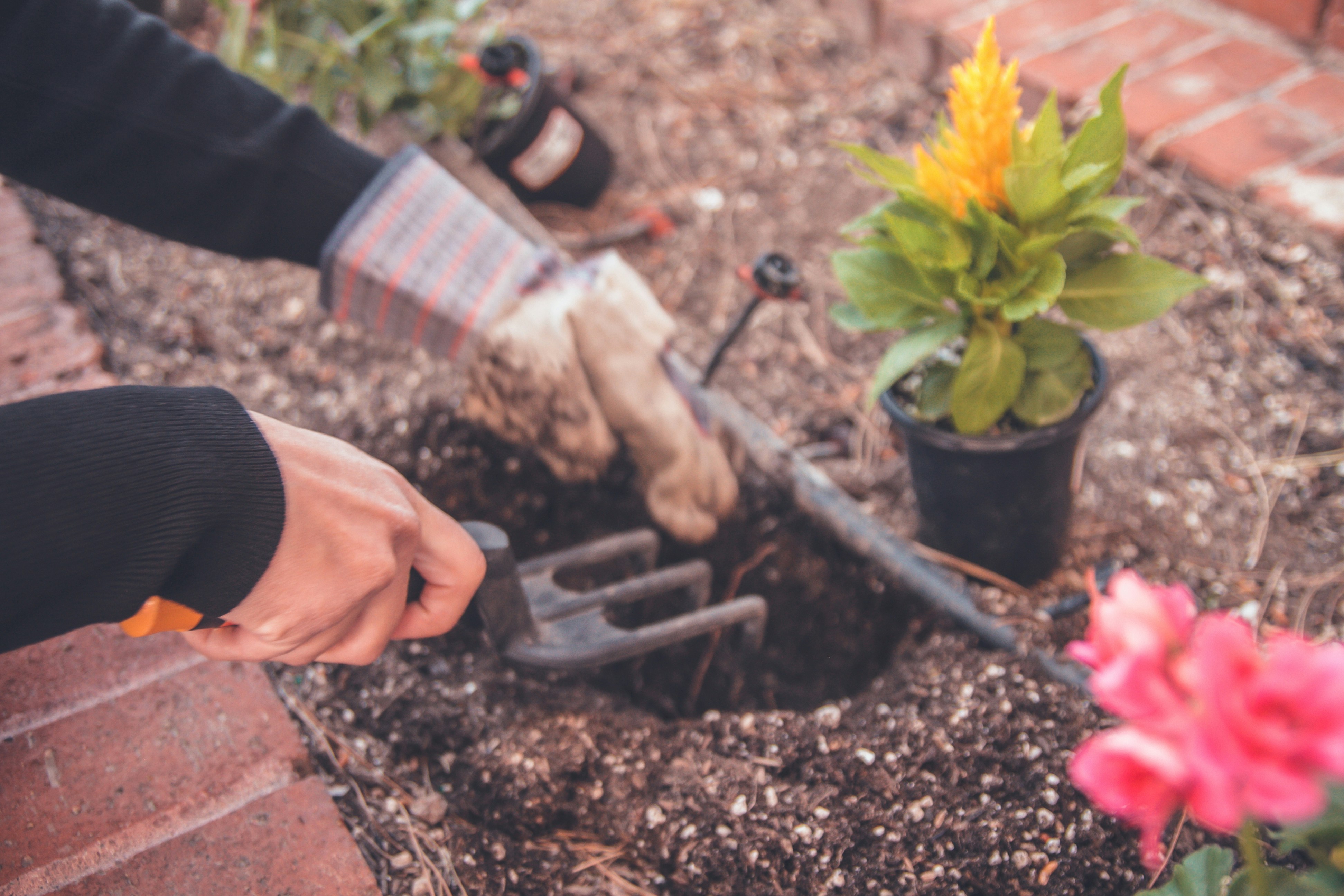 Garden Cleaning