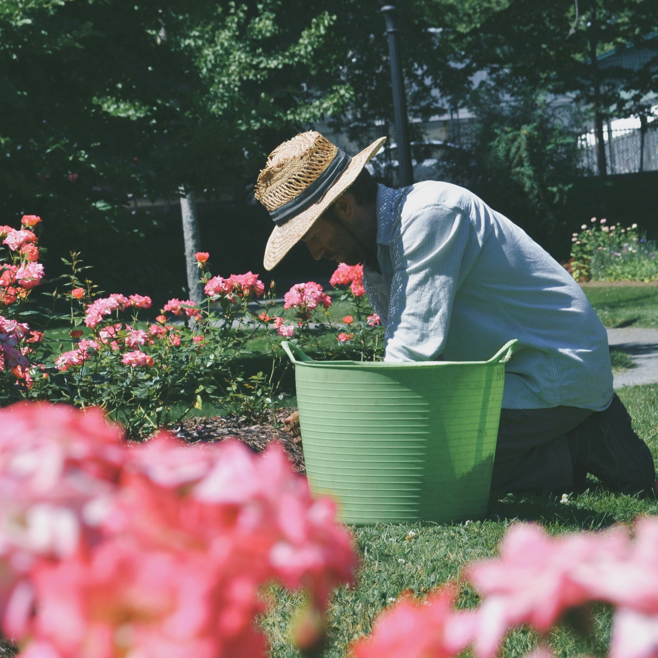 Seasonal Garden Care