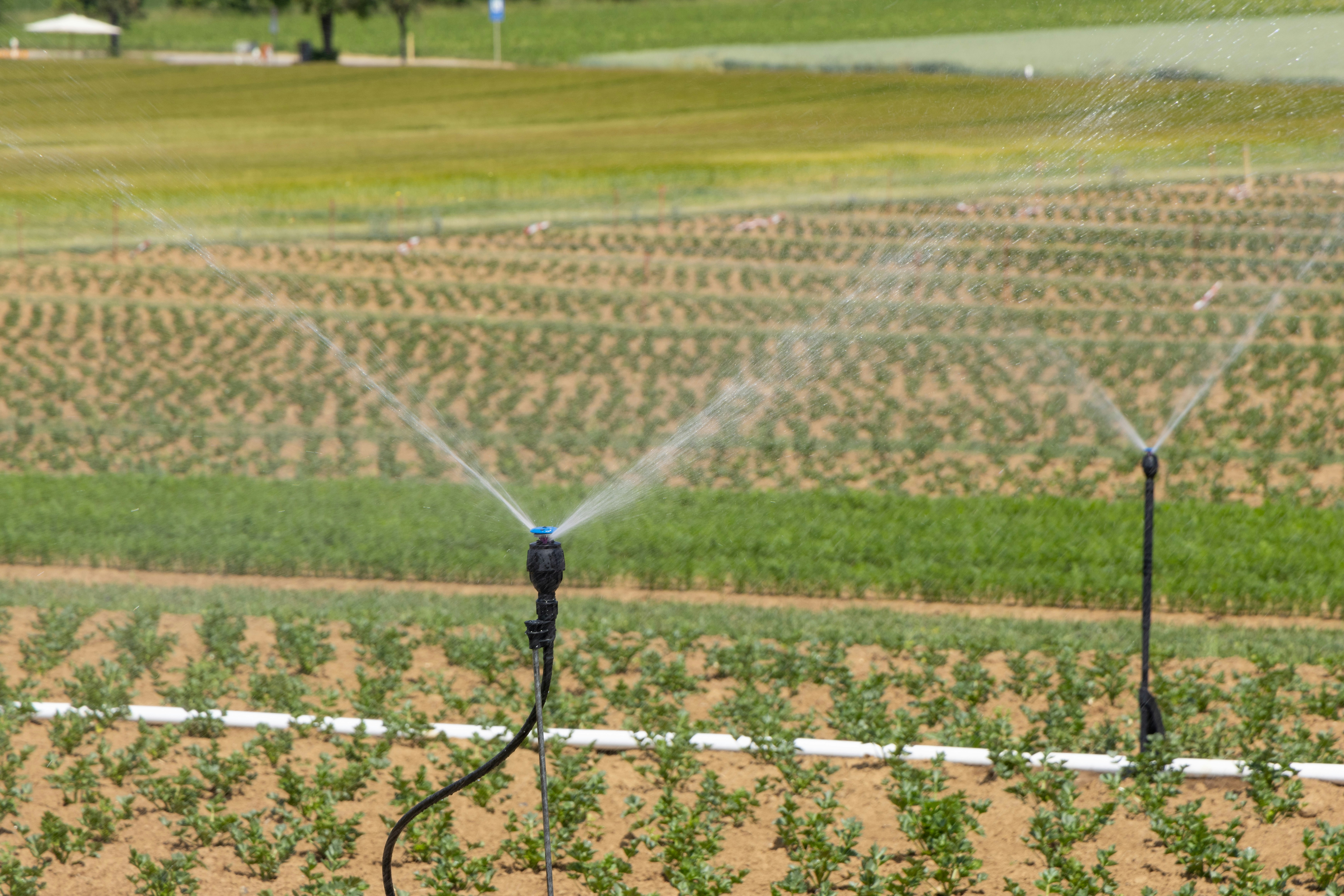 Irrigation System Installation