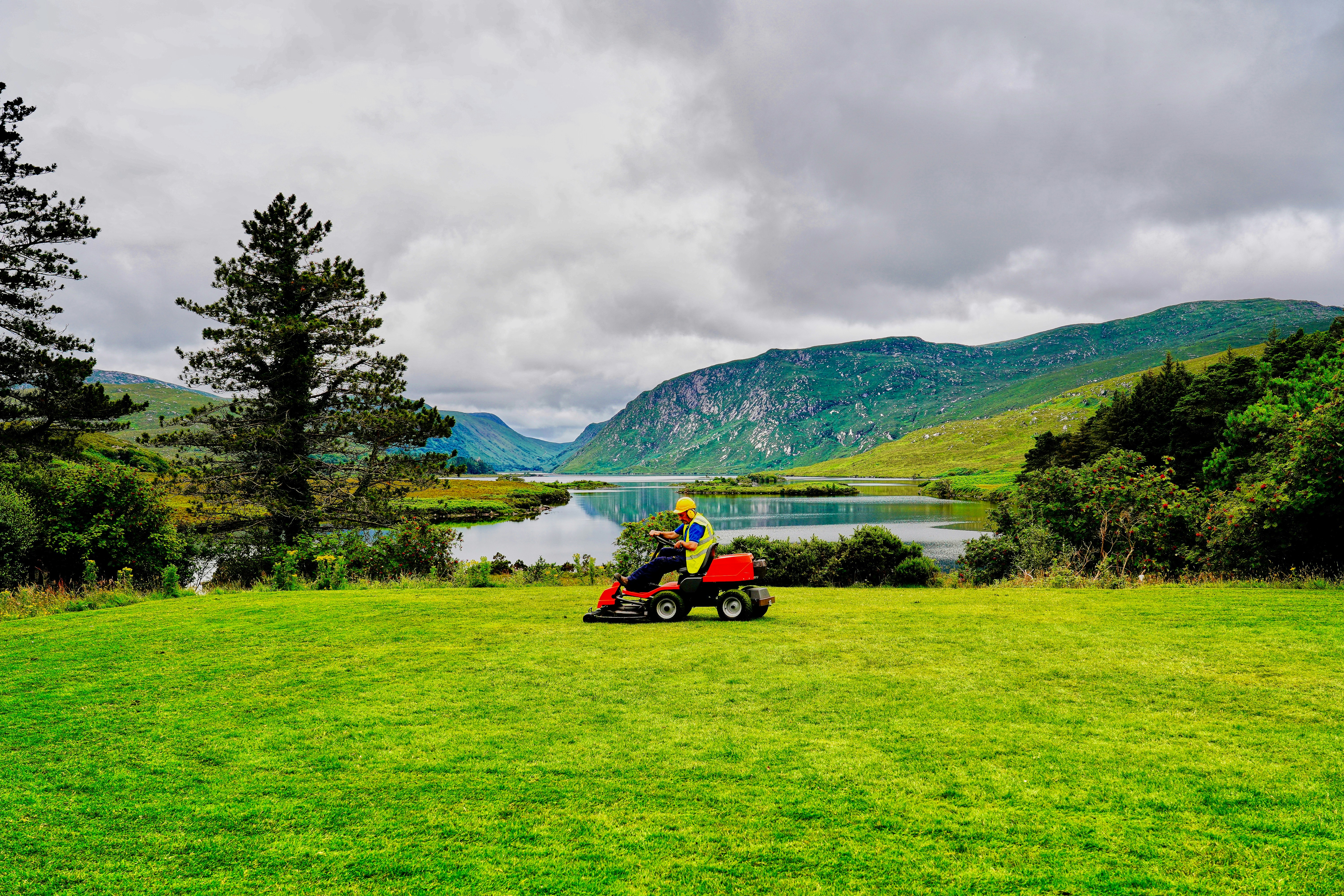 Lawn Health Maintenance