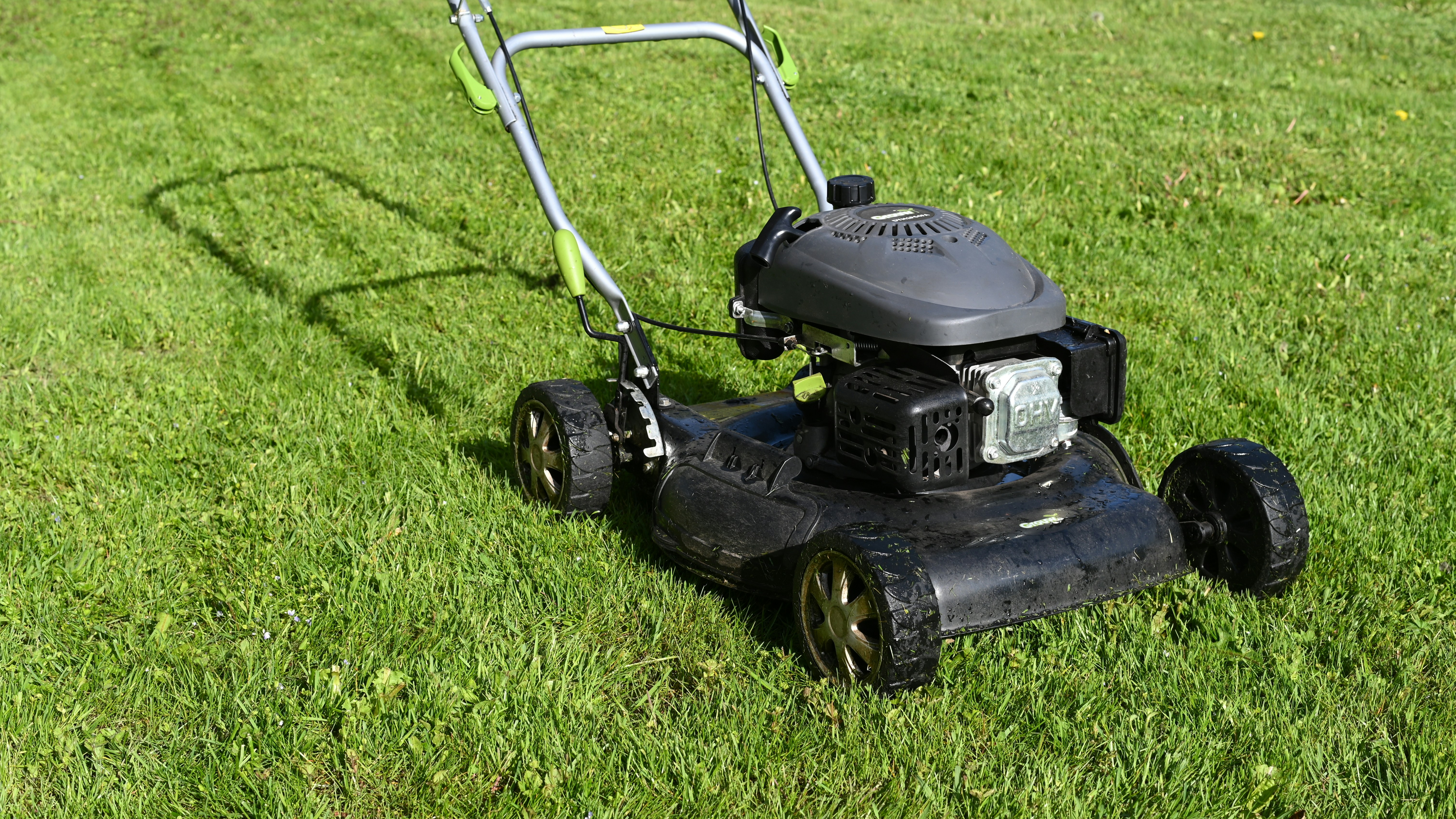 Lawn Mowing and Trimming