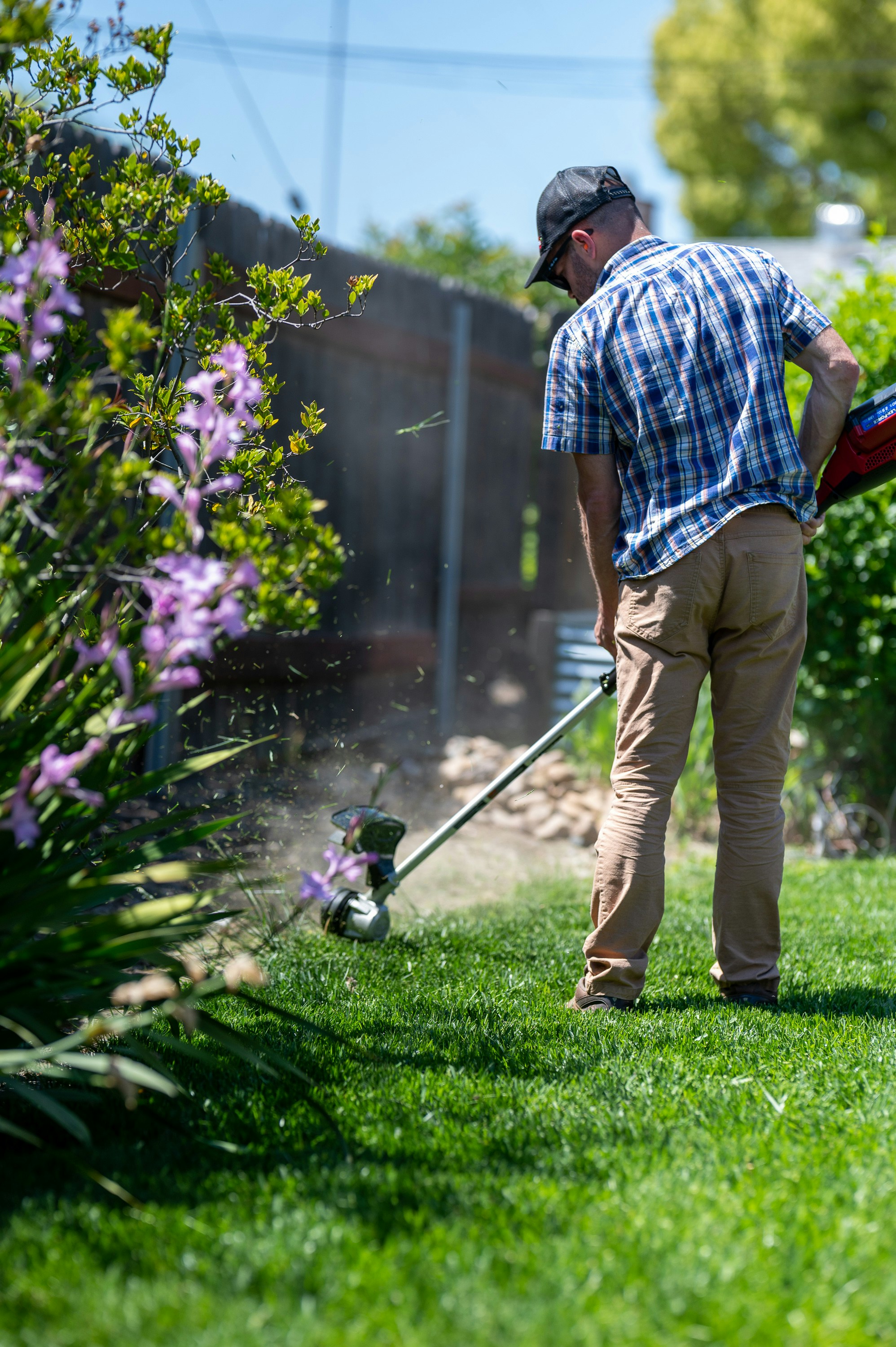 Seasonal Lawn Cleanup