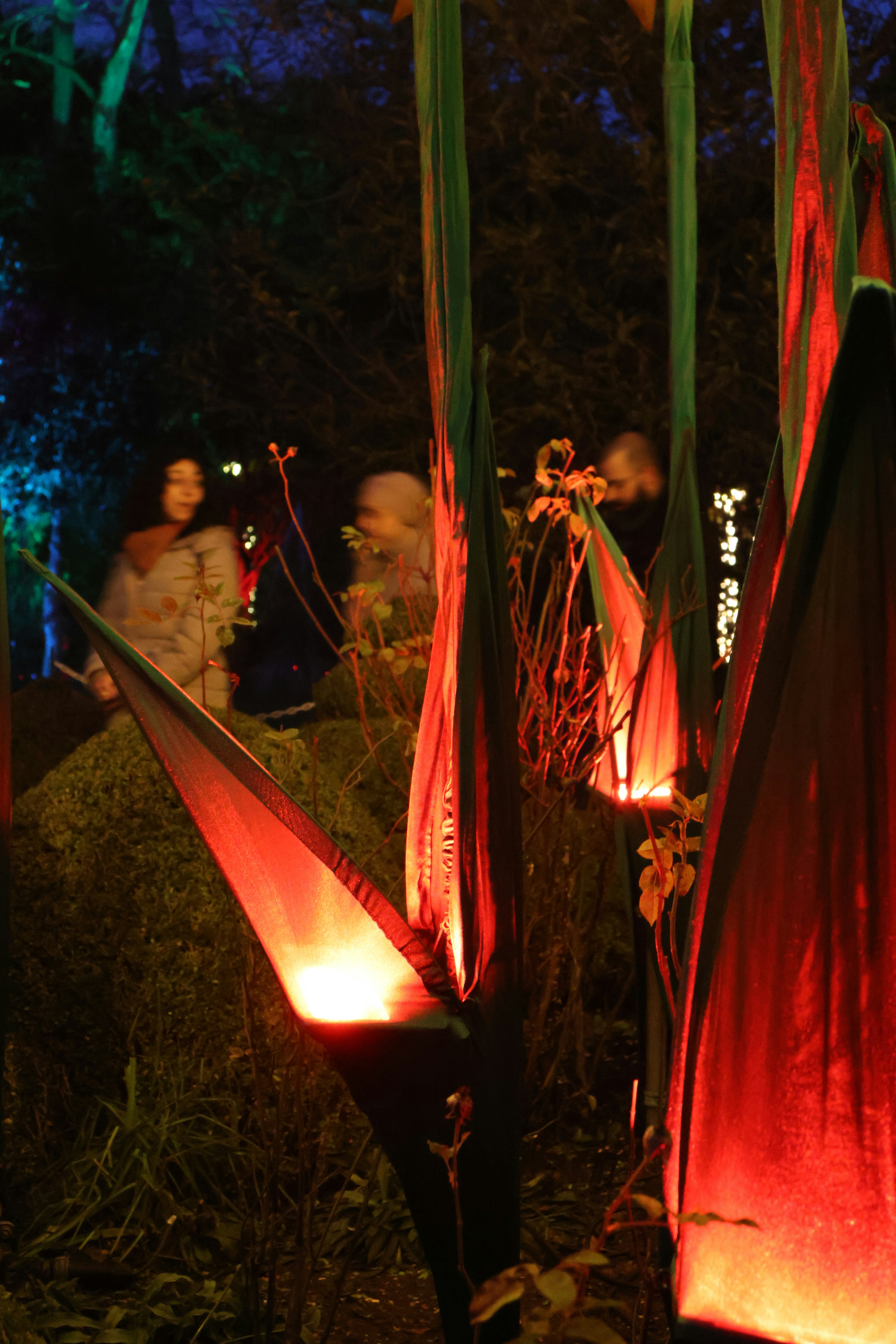 Garden Pathway Lighting