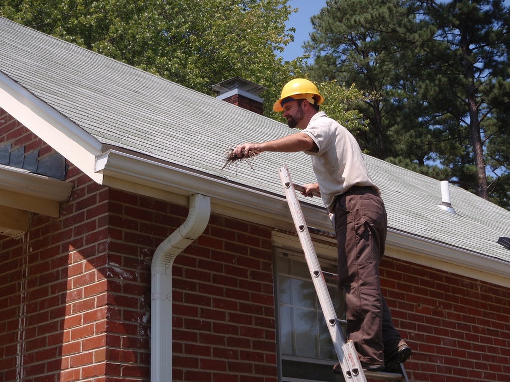 Roof Cleaning