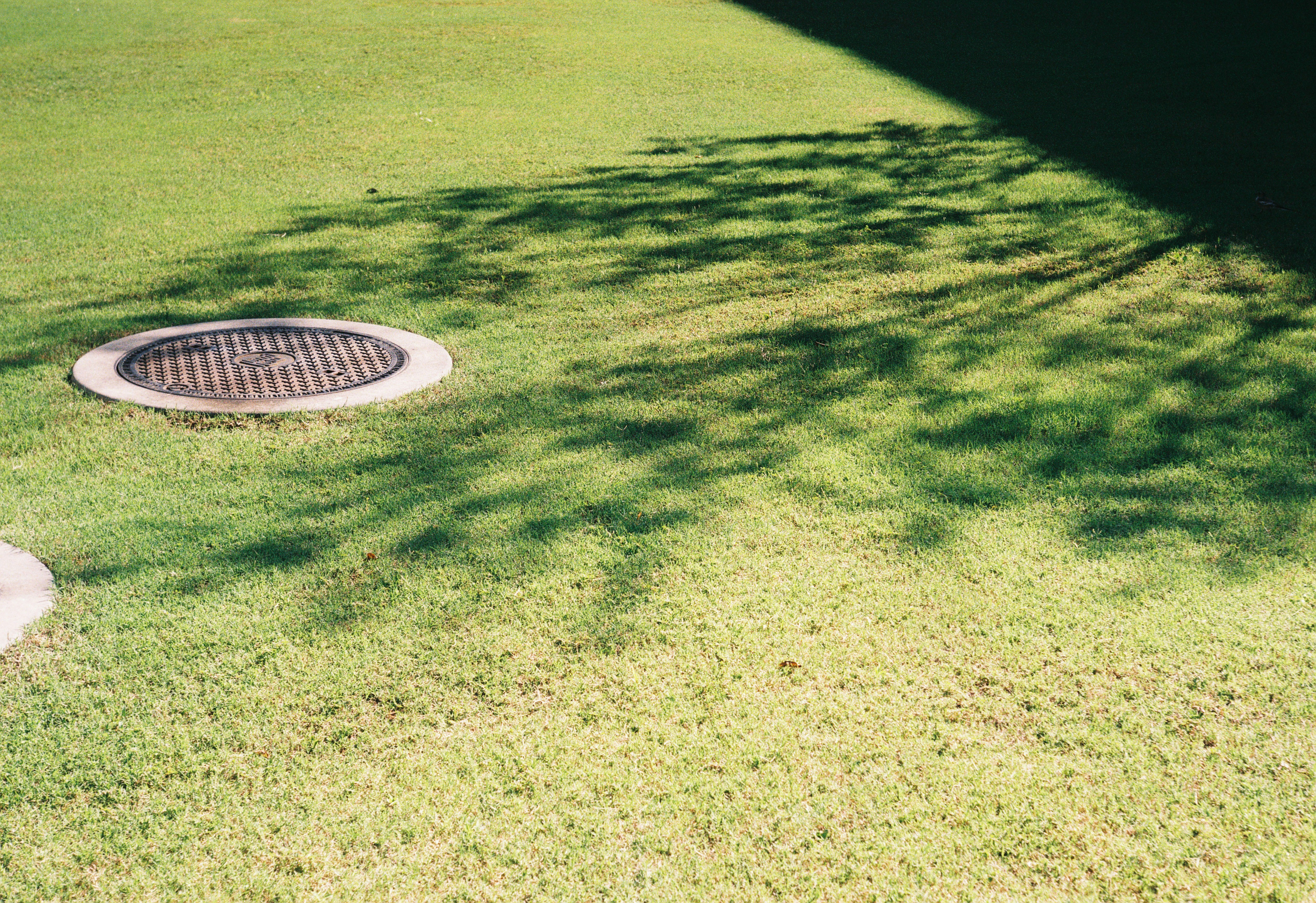 Drainage Inspection and Clearing