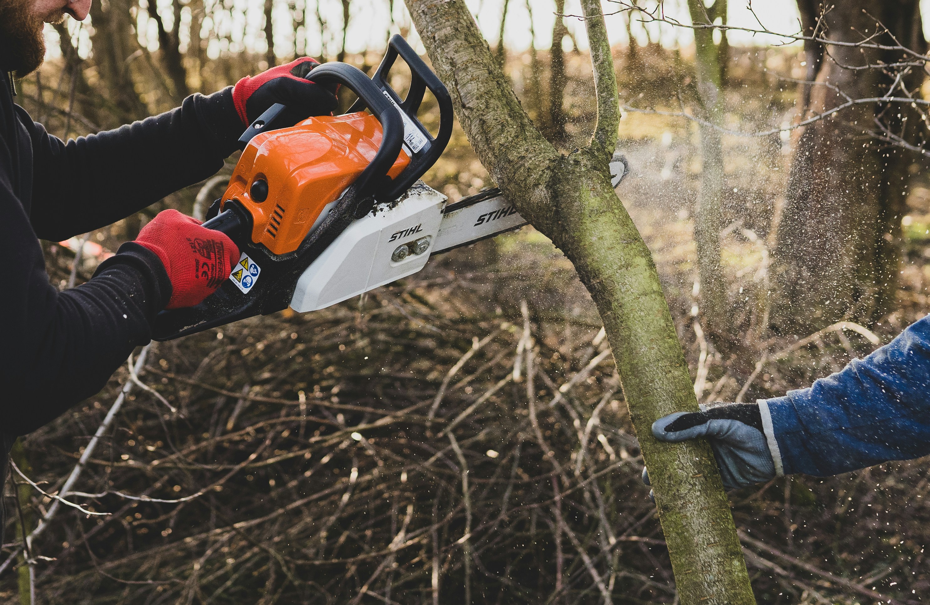 Branch Cutting and Cleanup